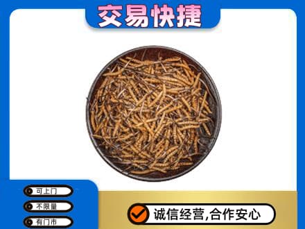 日照莒县回收散虫草